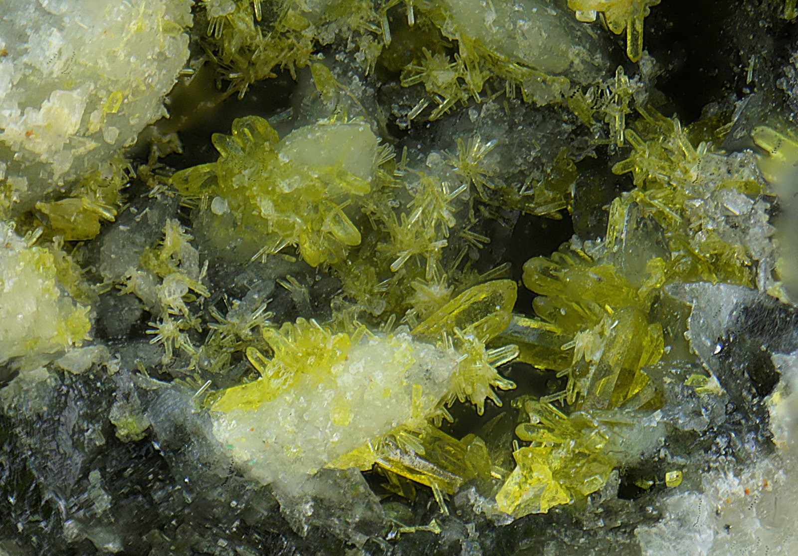 Mimetita
Campo de visión de 2 mm.
(Autor: Antonio Carmona)