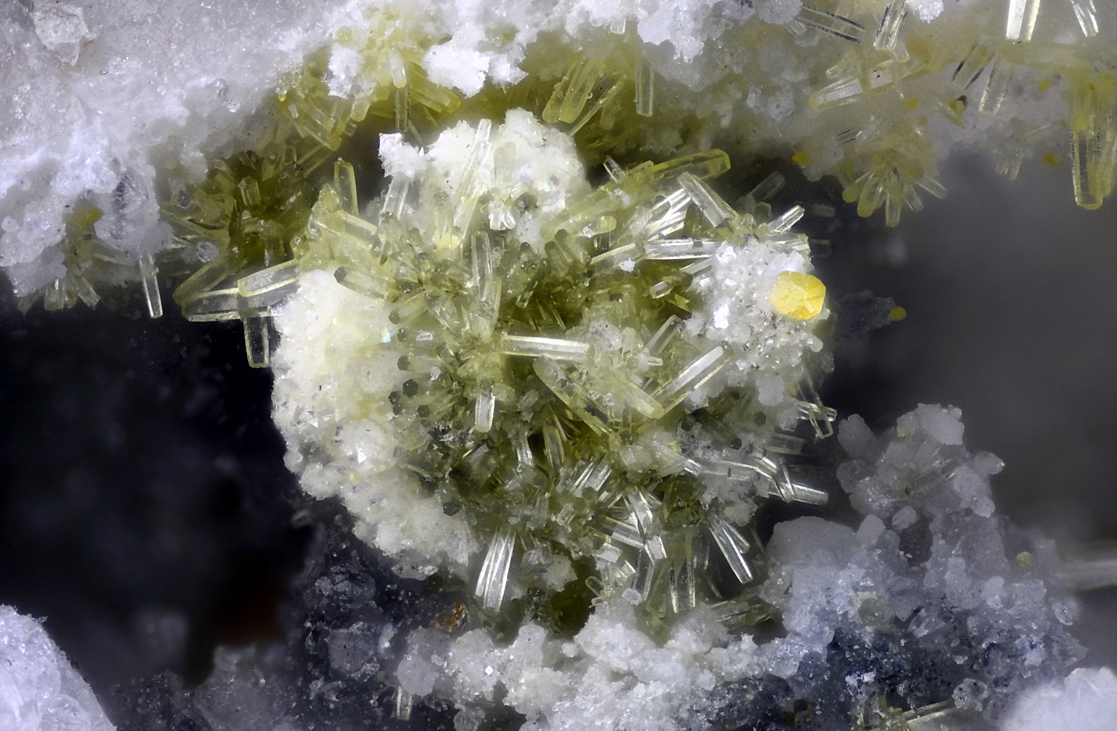Mimetita, Wulfenita
Campo de visión 2 mm.
(Autor: Juan Miguel)