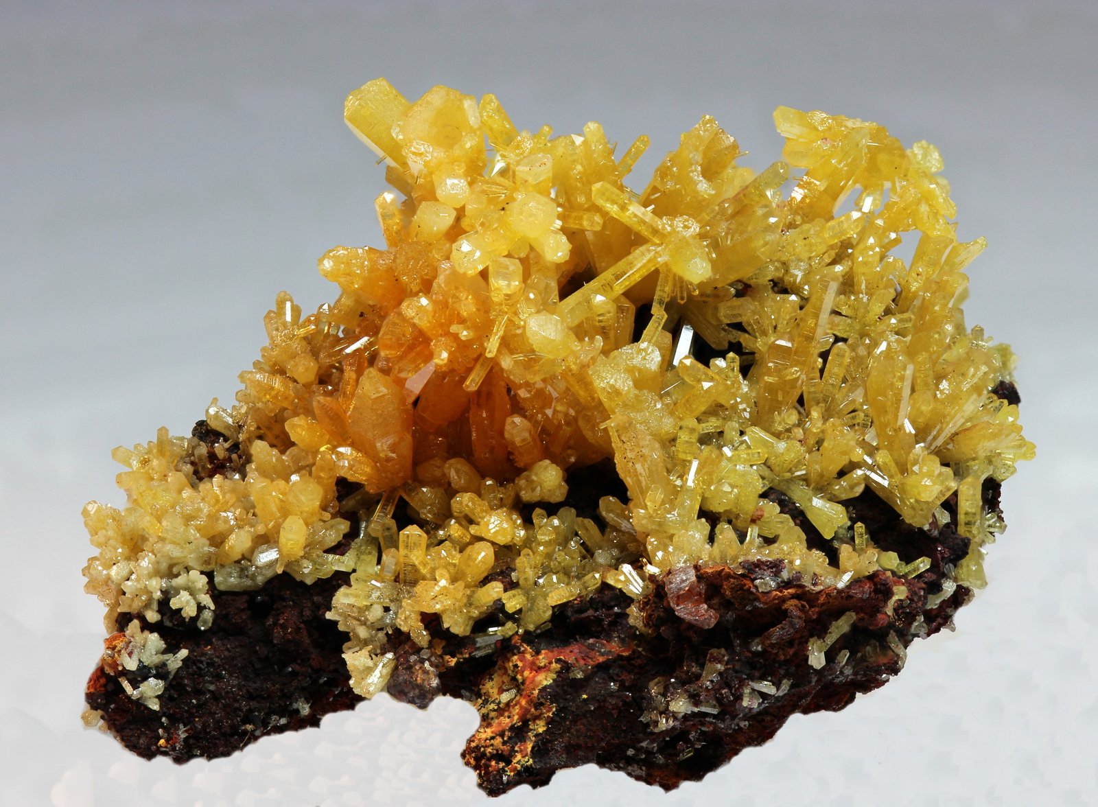 Mimetita
30x20 mm
(Autor: Ramon A  Lopez Garcia)