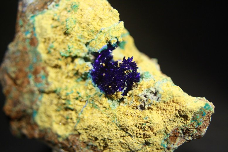Azurita
Grupo de pequeños cristales de 1,5 cm.
(Autor: minero1968)