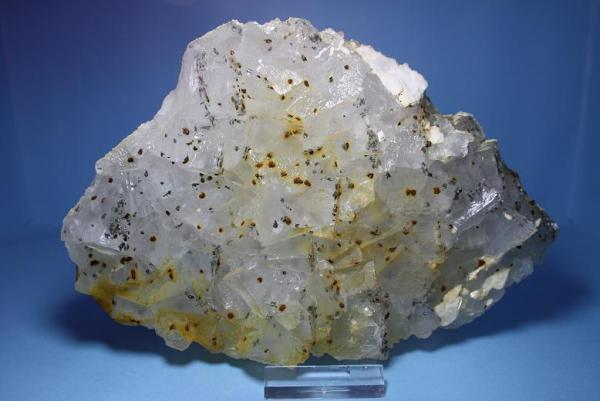 Fluorita, calcopirita
20 x 14 cm.
(Autor: minero1968)