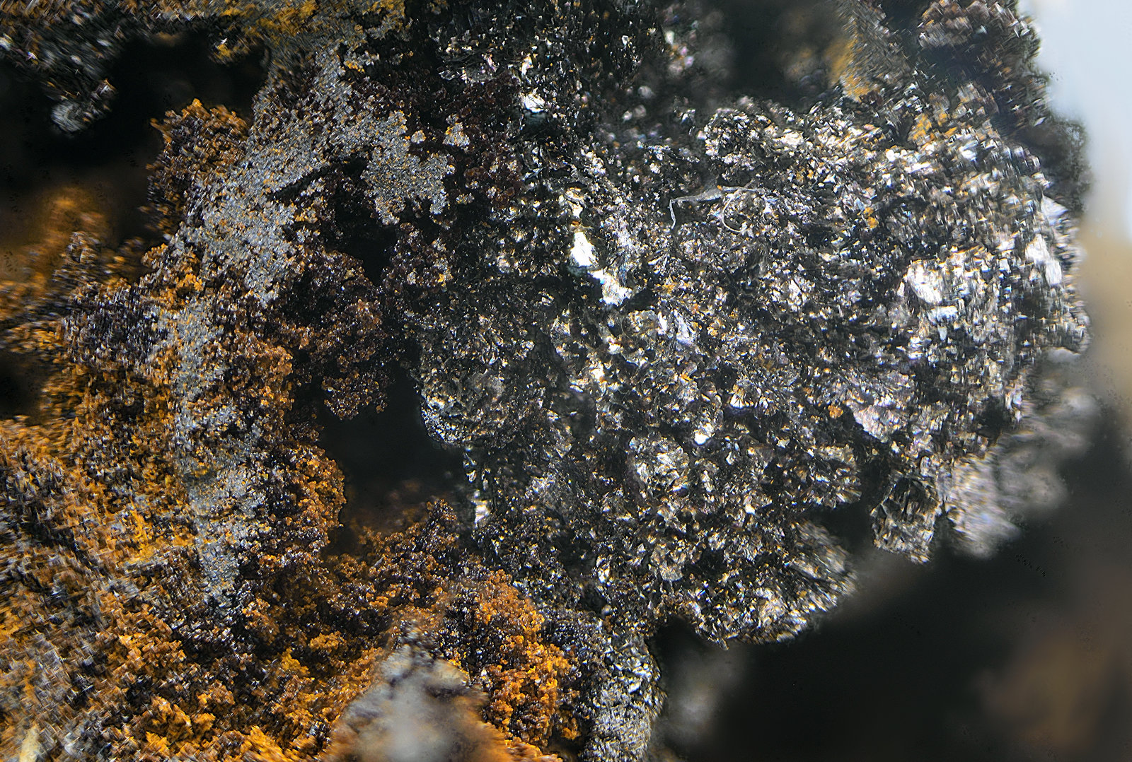 Rancieíta
Campo de visión de 3 mm.
(Autor: Antonio Carmona)