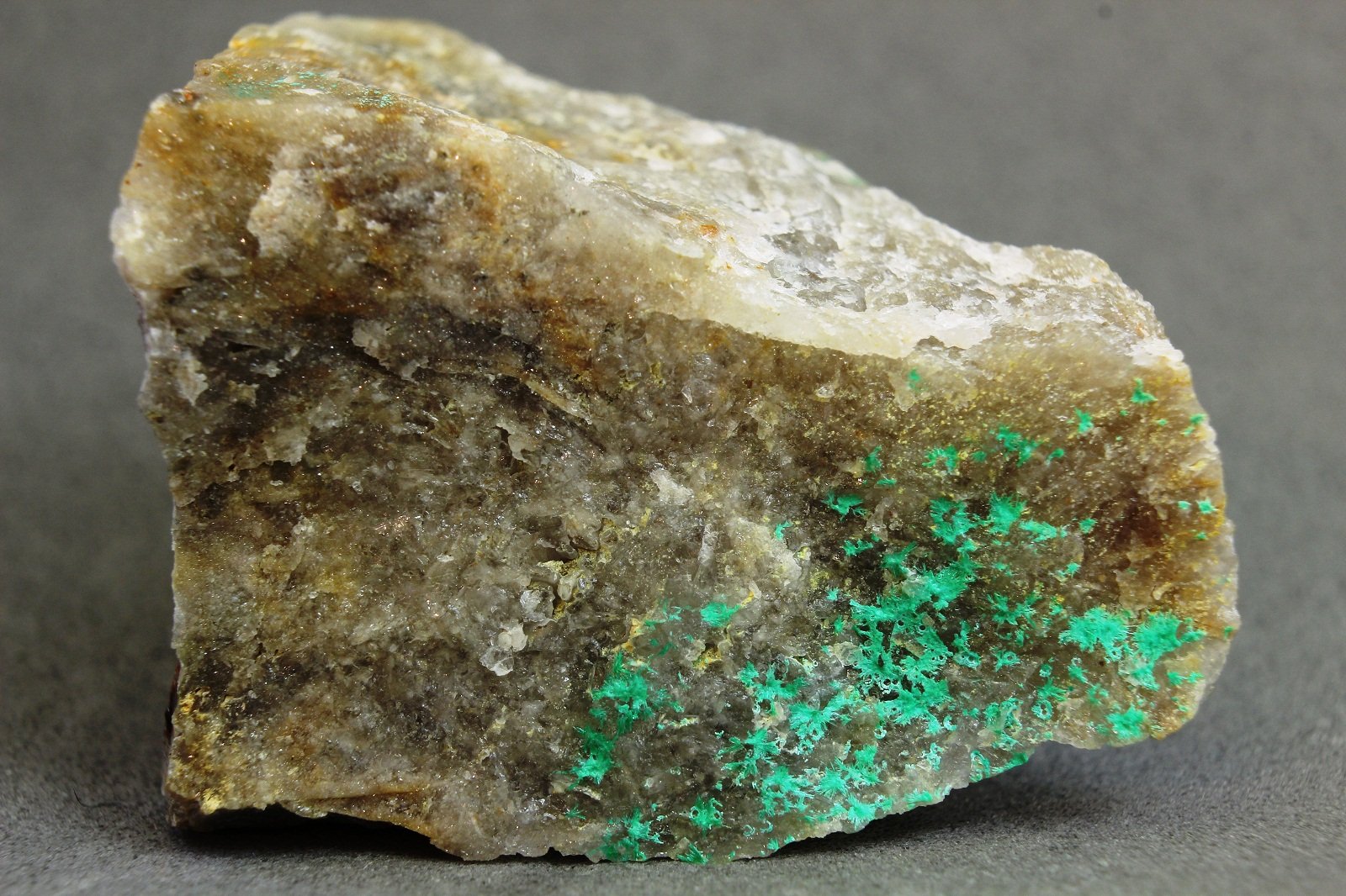 Mixita
37x24x16 mm
(Autor: Juan Espino)