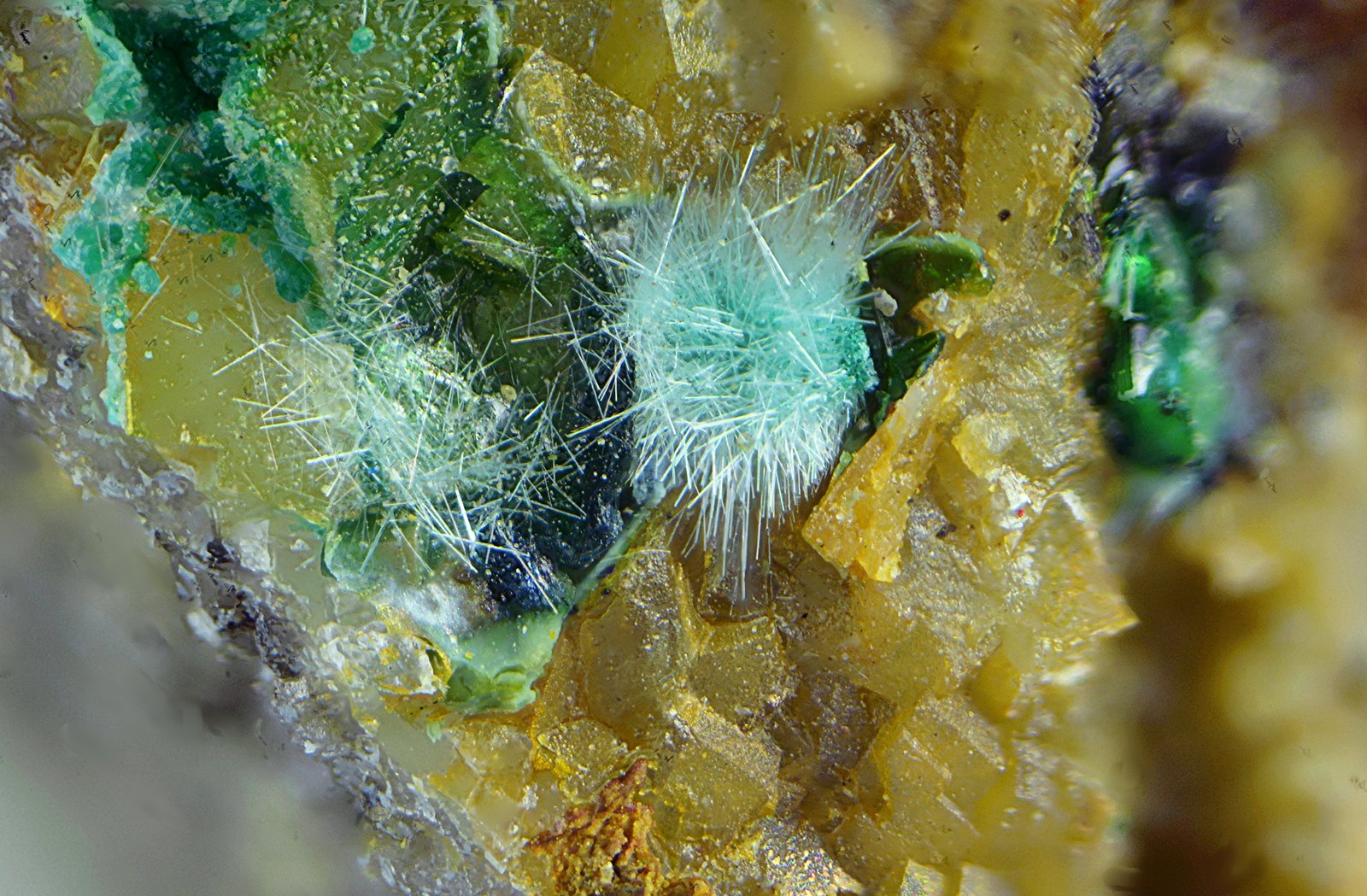 Mixita
Campo de visión de 2 mm.
(Autor: Antonio Carmona)
