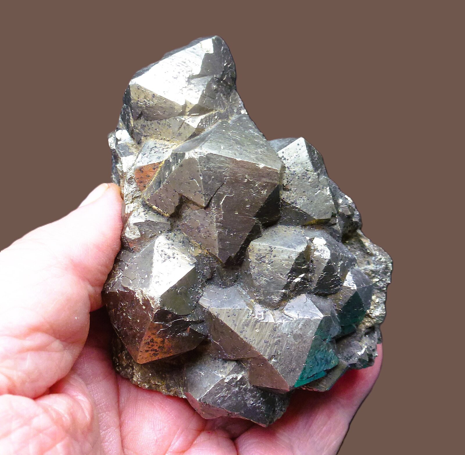Pirita
Mina Huanzala, Distrito Huallanca, Provincia Dos de Mayo, Departamento Huánuco, Perú
9 x 6 cm.
(Autor: javier ruiz martin)