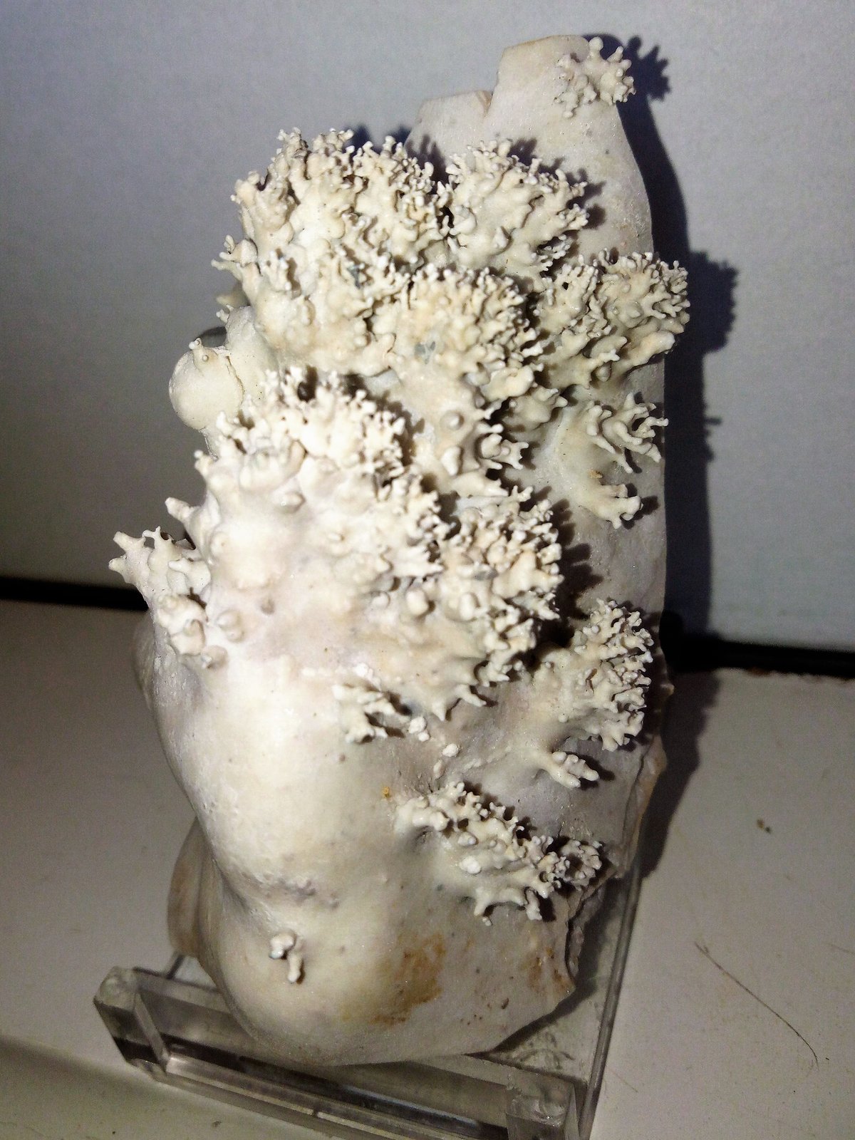 Aragonito
7,6x4,7 cm.
(Autor: Adri Rodríguez)