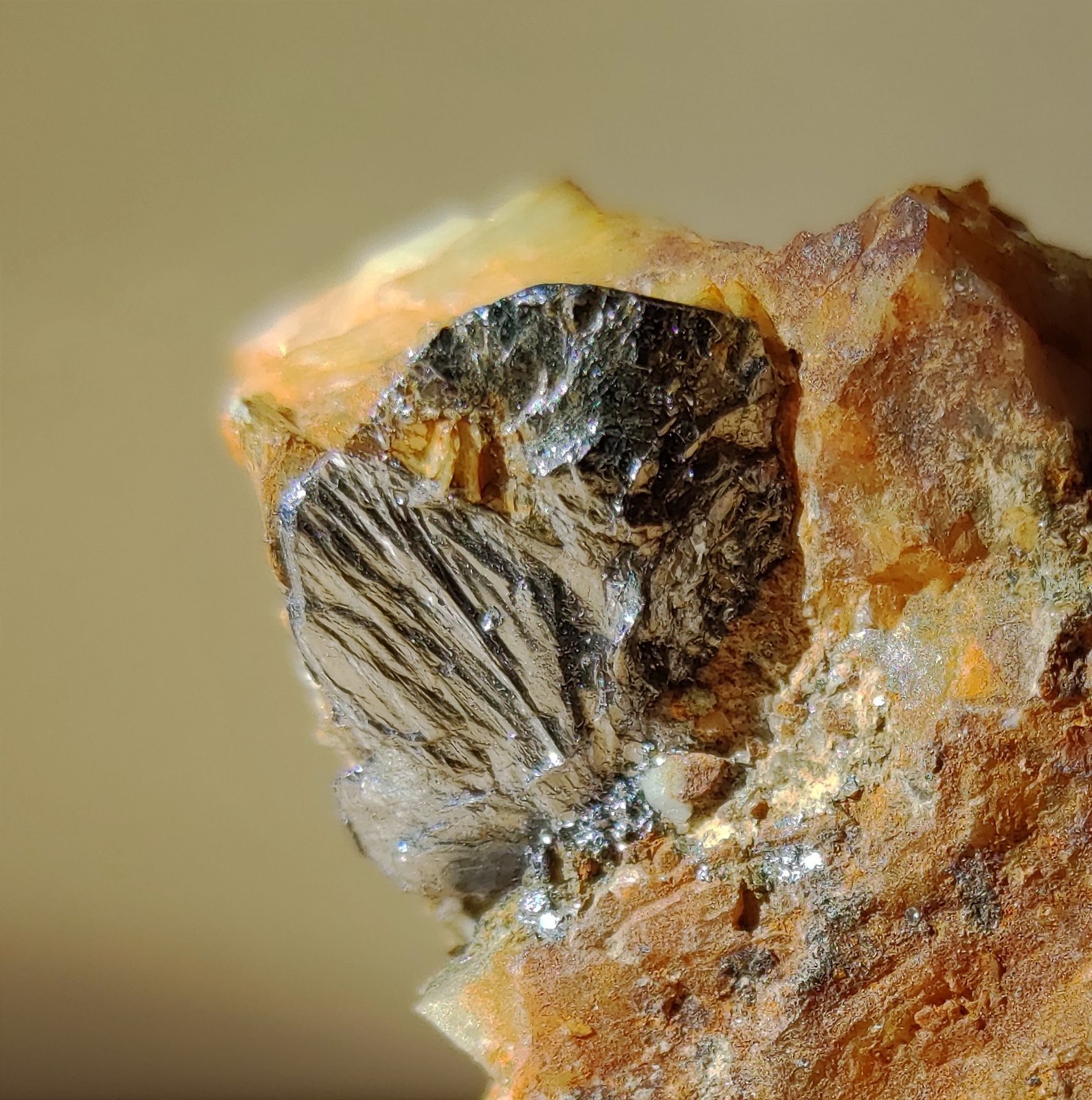 Molibdenita
Cristal de 1,7cm
(Autor: srm13151)