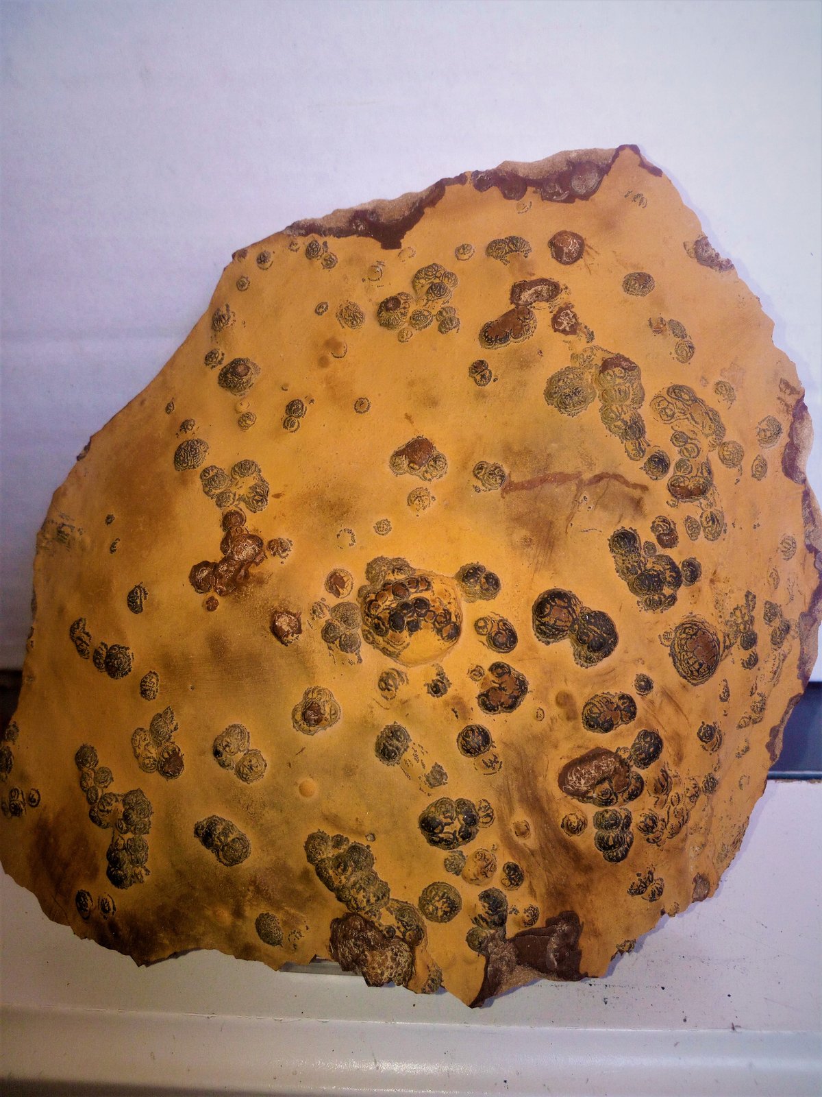 Goethita pseudomórfica de pirita, limonita
15x17 cm.
(Autor: Adri Rodríguez)