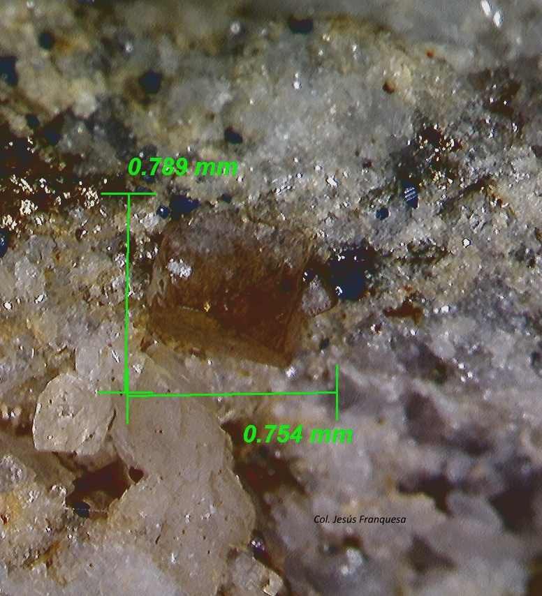 Monazita-(Ce) y Anatasa.
0´789 x 0´754 mm.
(Autor: Jesus Franquesa Baucells)
