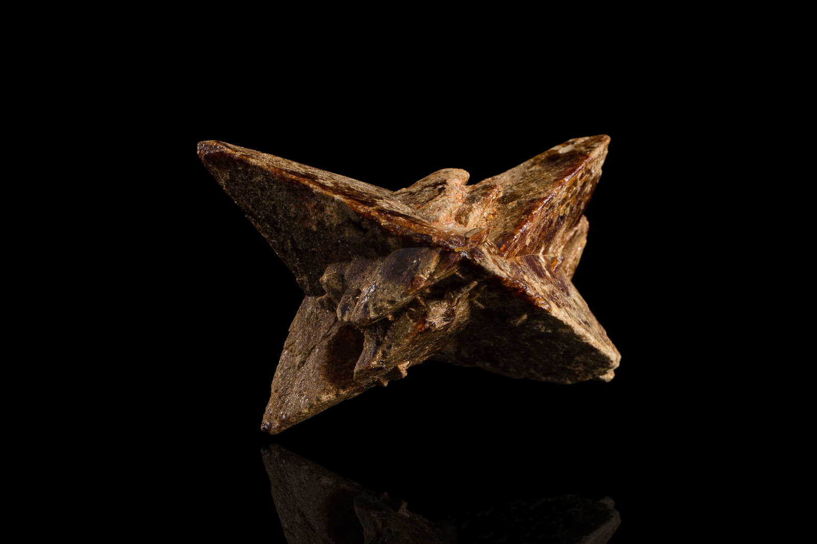 Monacita-(Ce)
9 x 7 x 6 cm
(Autor: Museo MIM)