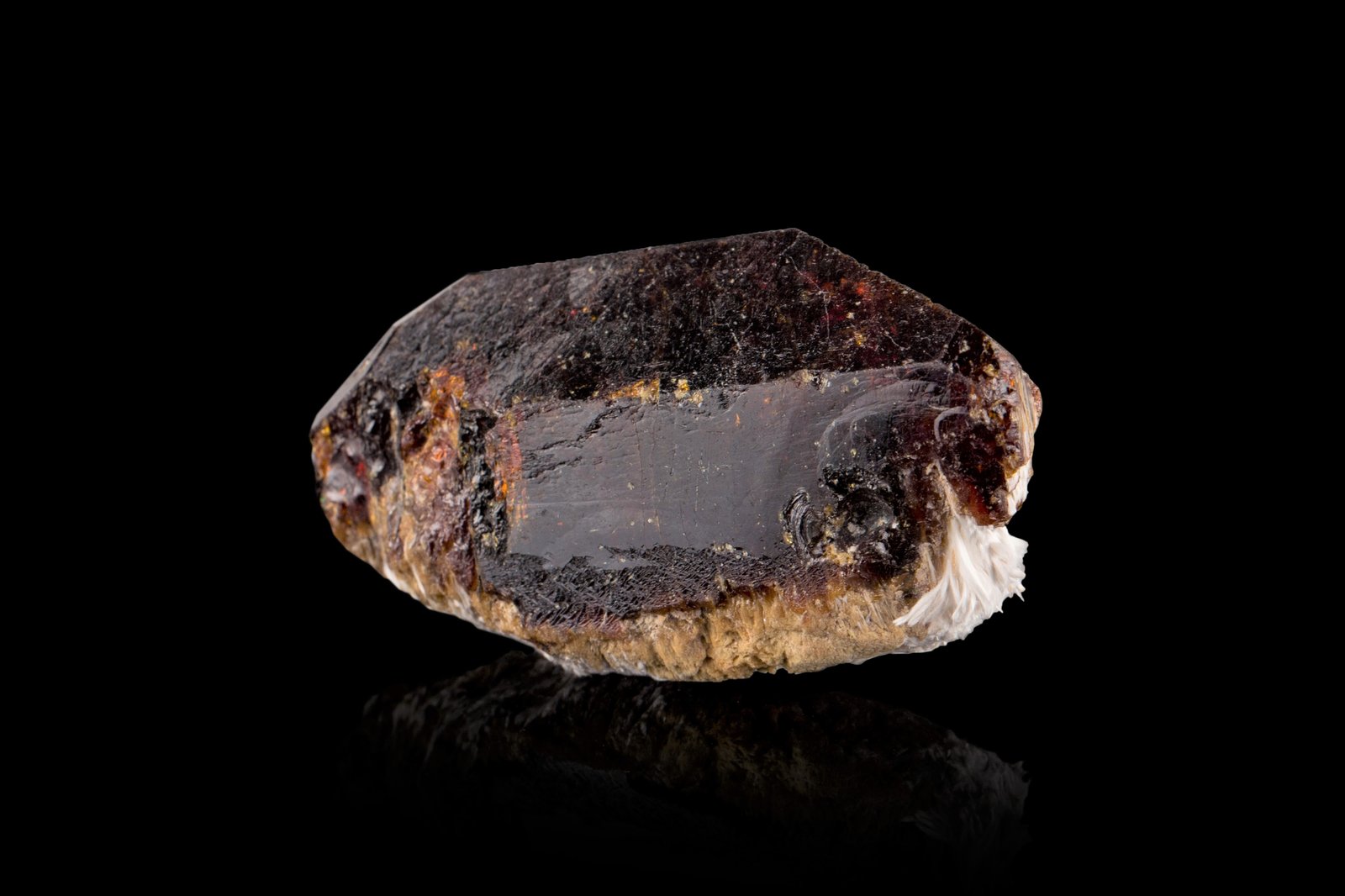 Monacita-(La) con Holmquistita
6 x 2 x 3.5 cm / Cristal principal: 5.7 cm
(Autor: Museo MIM)