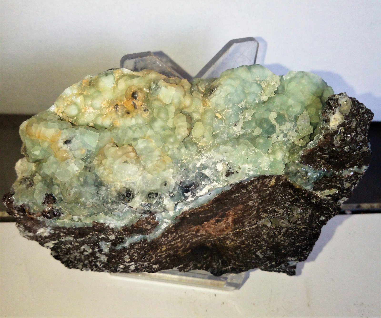 Alofana
6x9,5 cm.
(Autor: Adri Rodríguez)