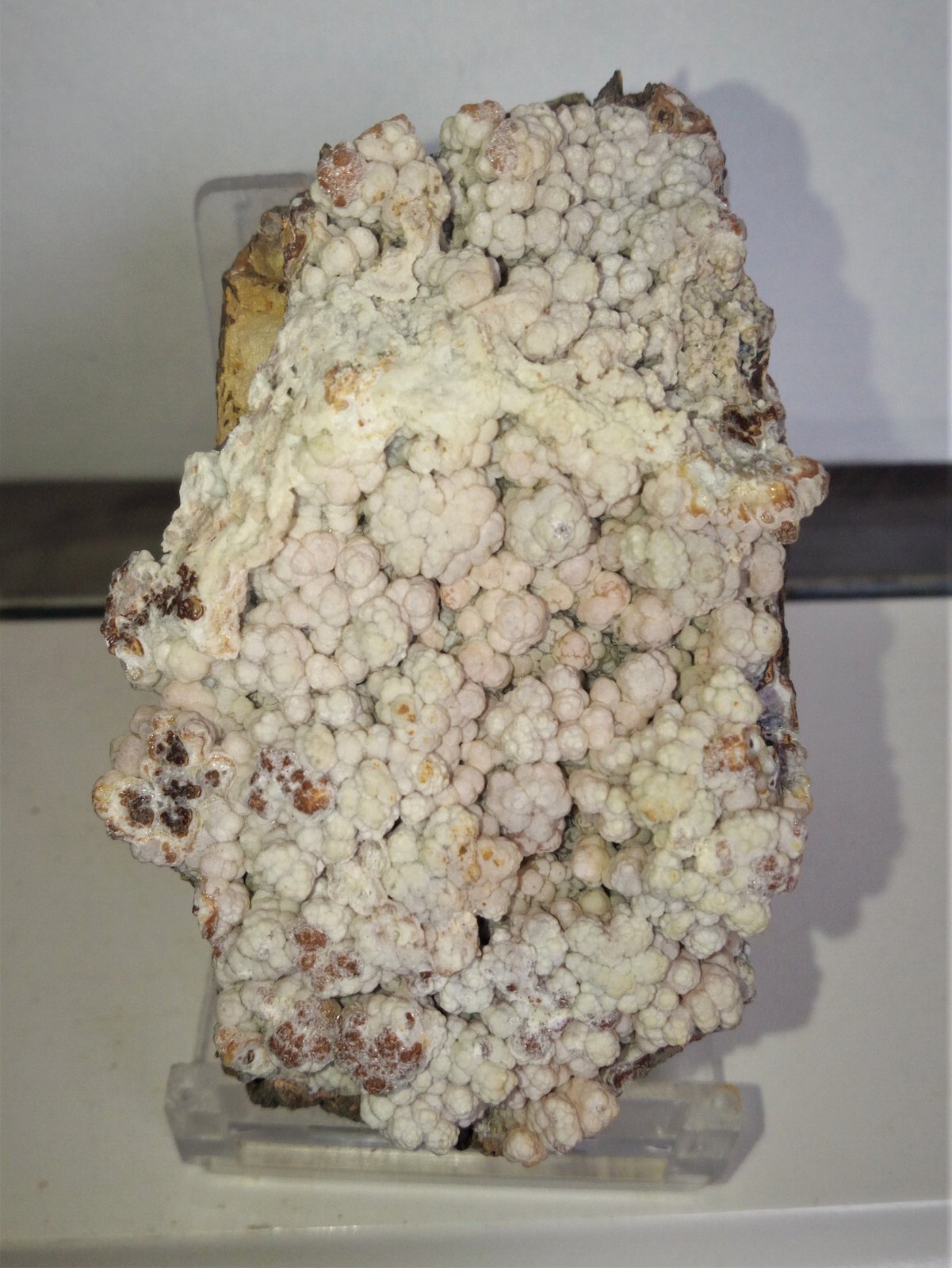 Alofana
7x4,5 cm.
(Autor: Adri Rodríguez)
