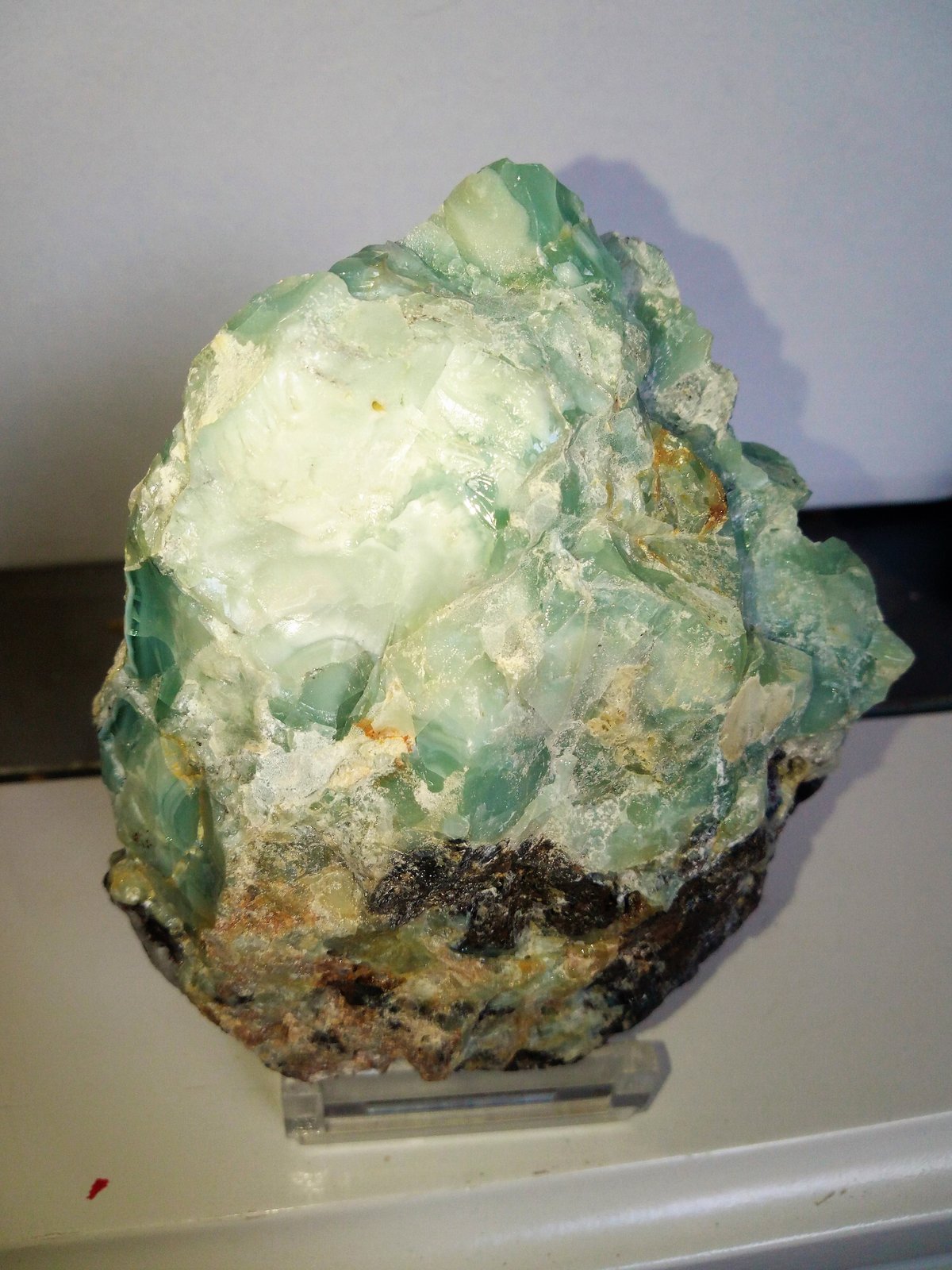 Alofana
9x6 cm.
(Autor: Adri Rodríguez)