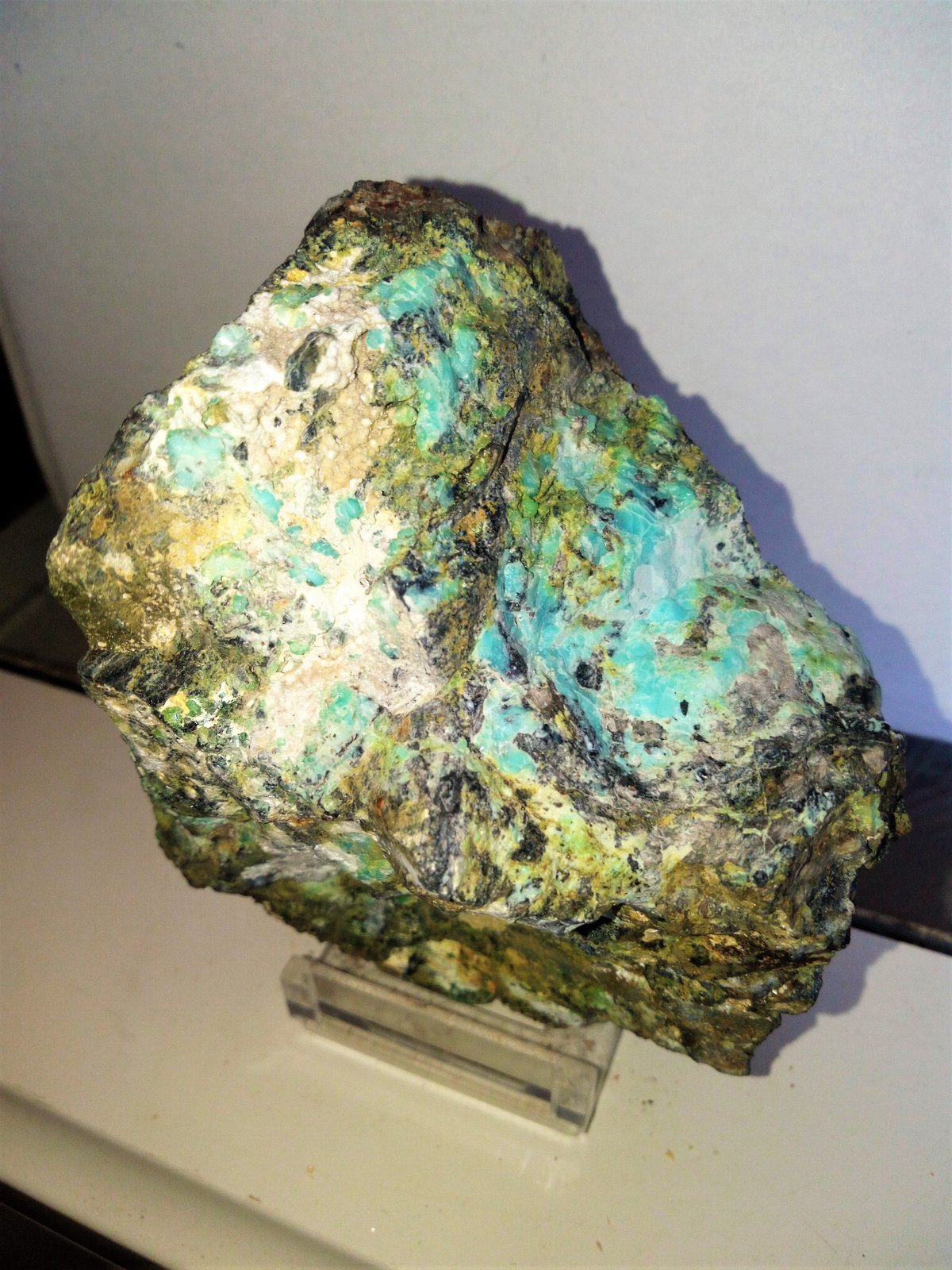Alofana
9x8 cm.
(Autor: Adri Rodríguez)