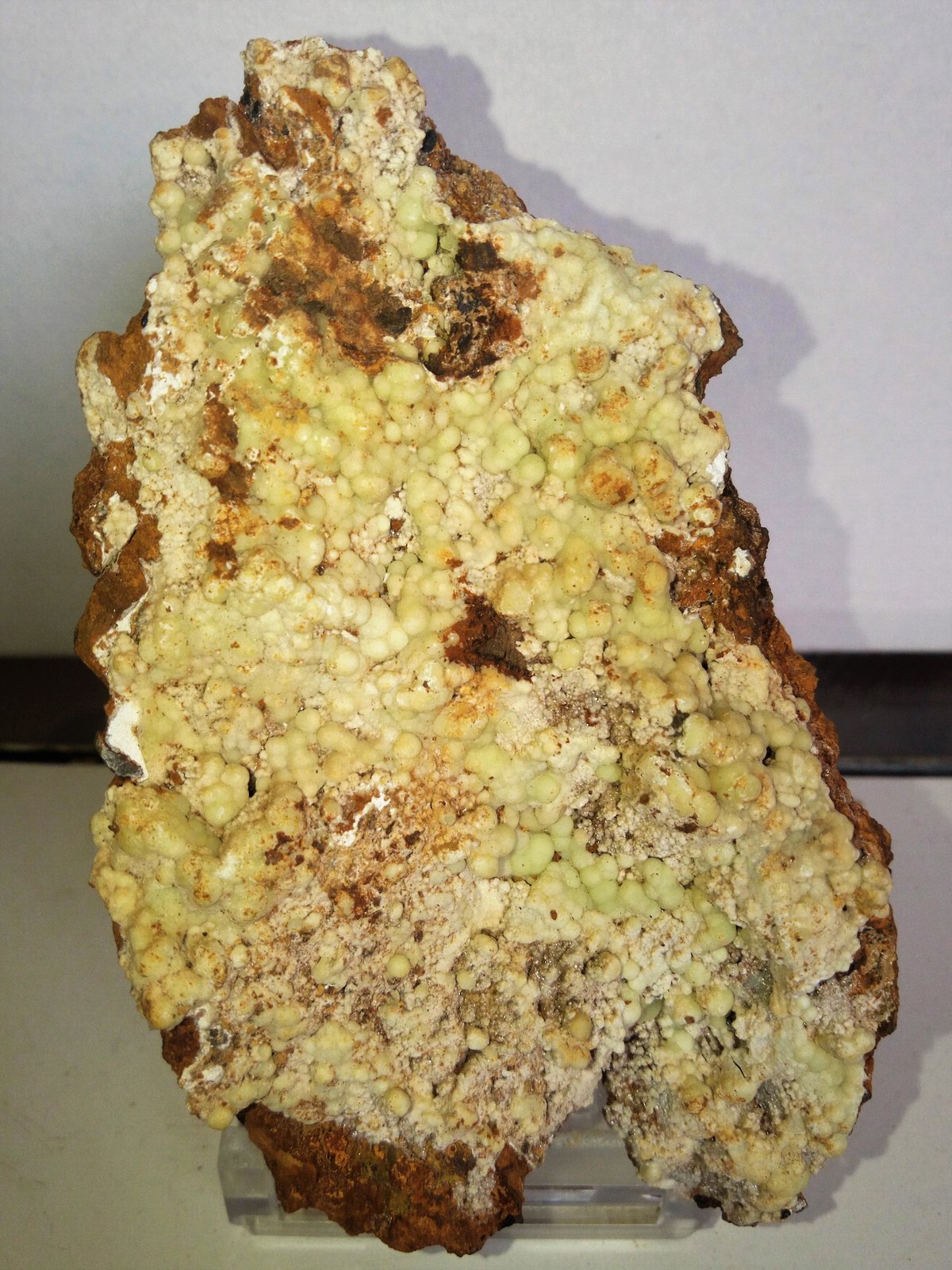Fluorapatito (variedad carbonato-fluorapatito)
8x5,5 cm.
(Autor: Adri Rodríguez)