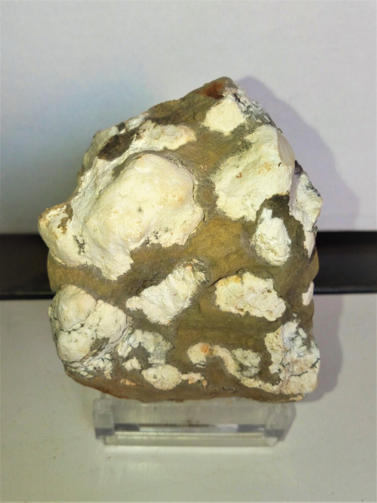 Tinticita
7x5 cm.
(Autor: Adri Rodríguez)