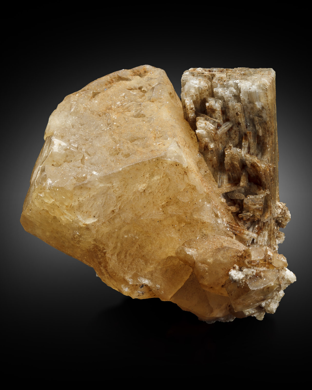 Monteregianita-(Y)
3 x 2 x 2 cm / cristal principal: 1.7 cm
(Autor: Museo MIM)