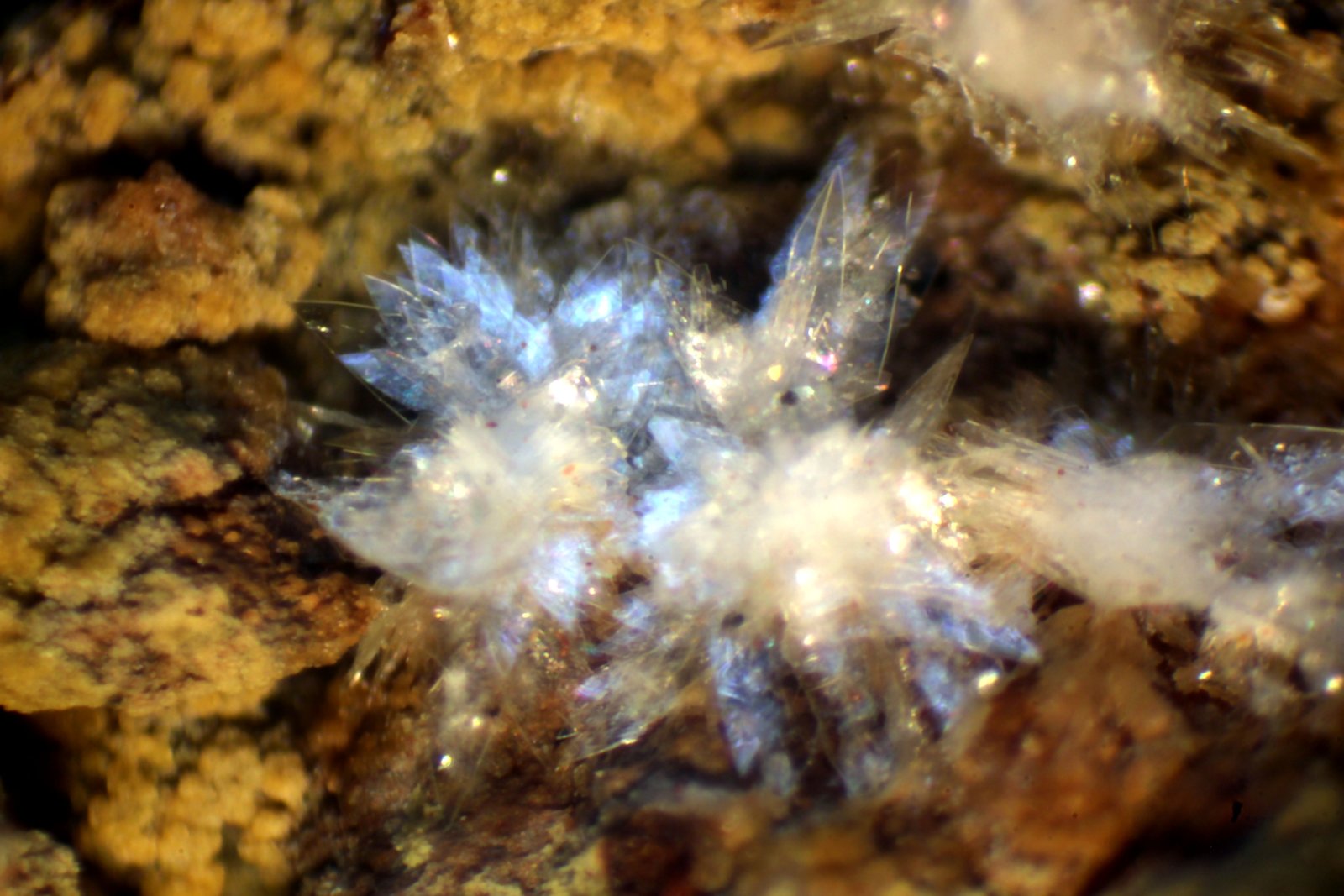 Montgomeryita
25 x 16 x 14 mm.
(Autor: José Luis Zamora)