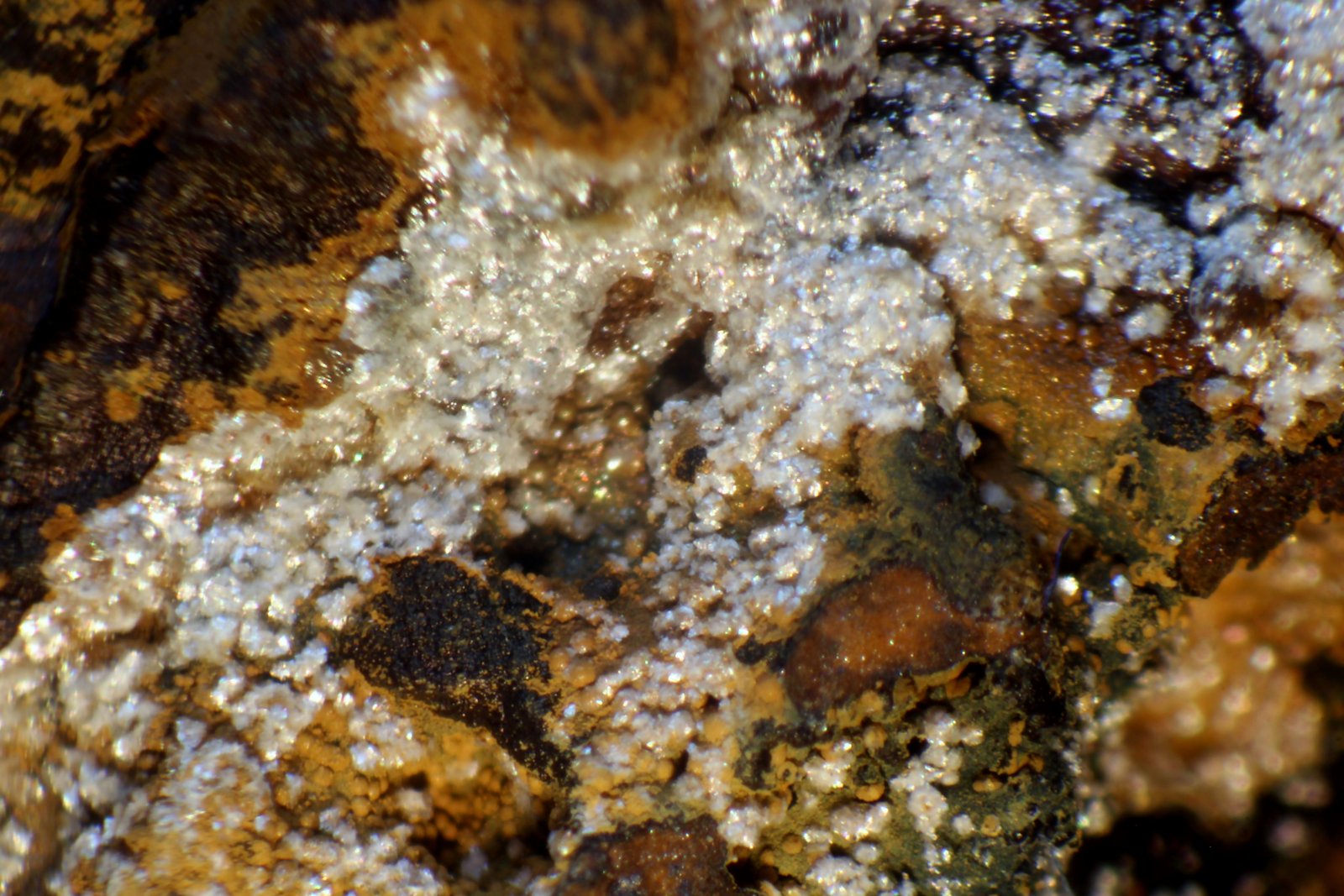 Montgomeryita
< 1 mm
(Autor: José Luis Zamora)