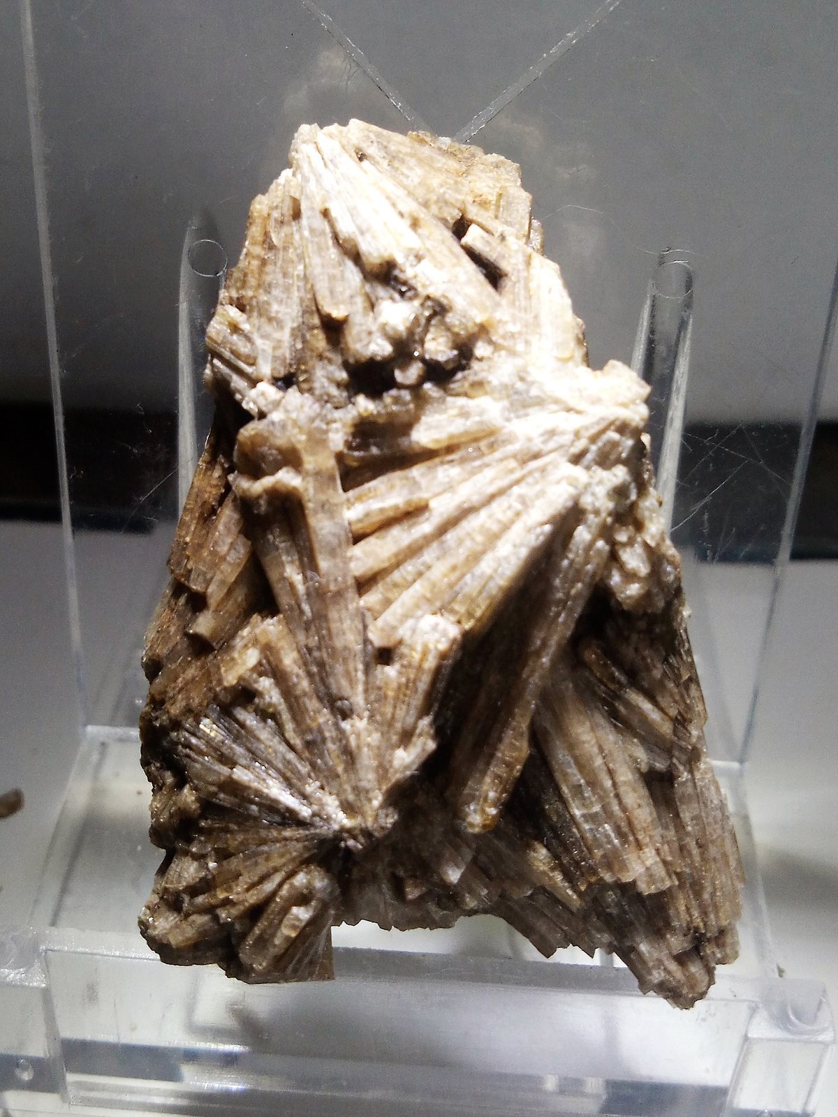 Vesuvianita (Vesubiana)
4x2,5 cm.
(Autor: Adri Rodríguez)