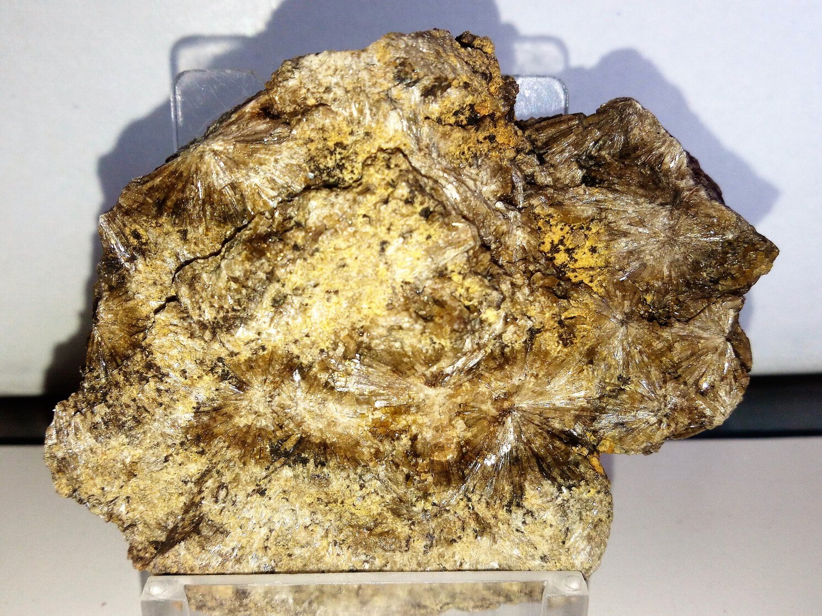 Vesuvianita (Vesubiana)
7x5,5 cm.
(Autor: Adri Rodríguez)