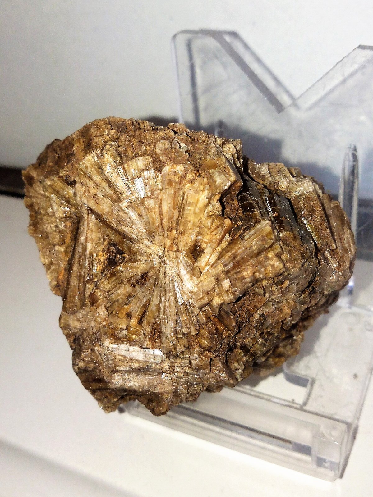 Vesuvianita (Vesubiana)
6x5 cm.
(Autor: Adri Rodríguez)