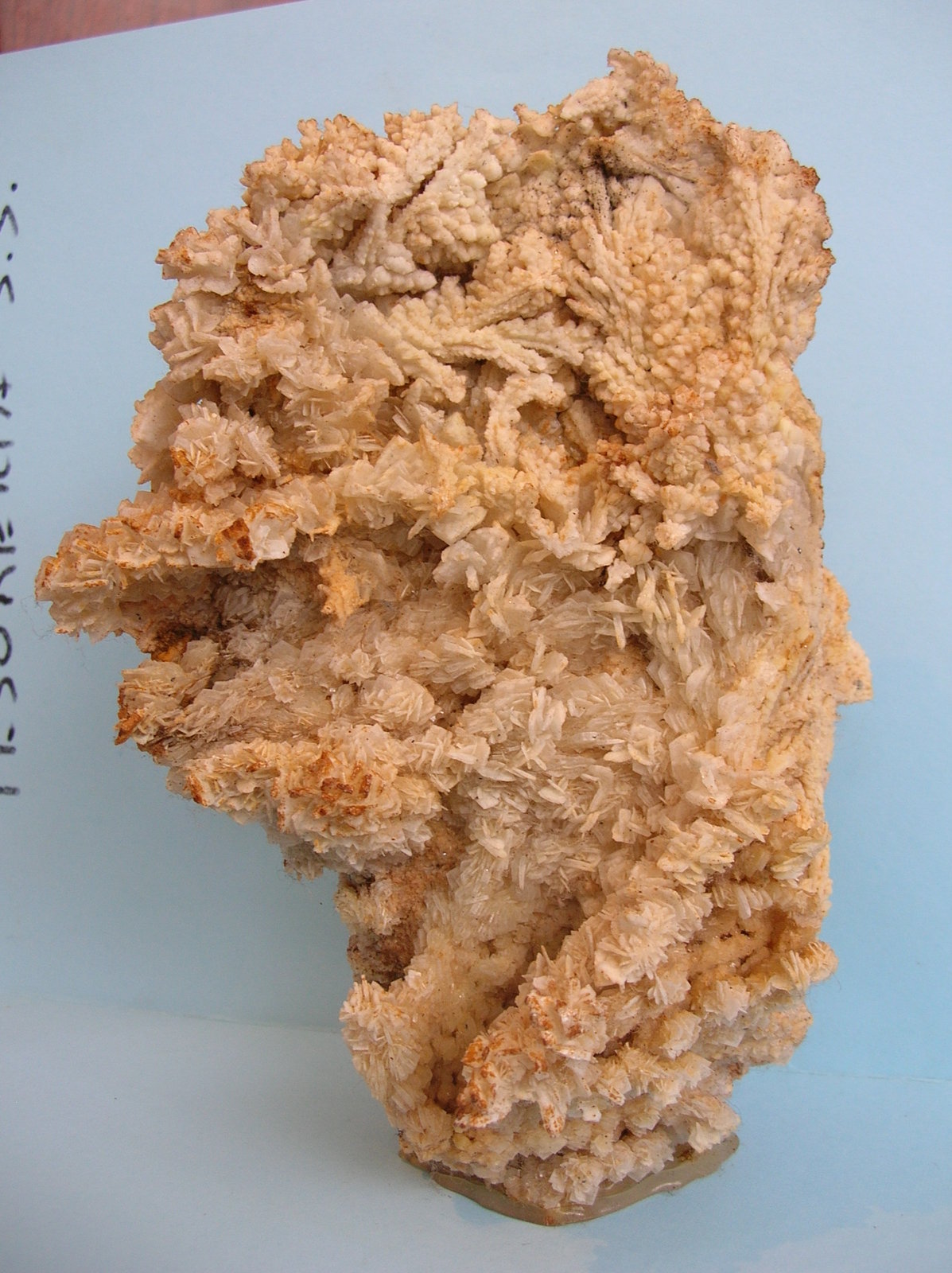 Baritina
19,5 x 14 cm
(Autor: Pedro Conesa)