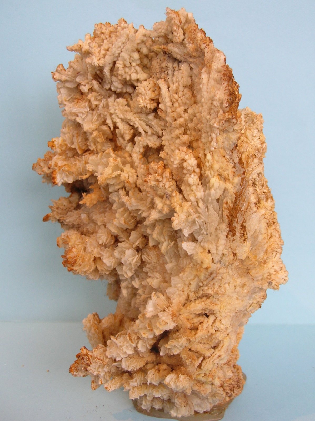 Baritina
19,5 x 14 cm
(Autor: Pedro Conesa)