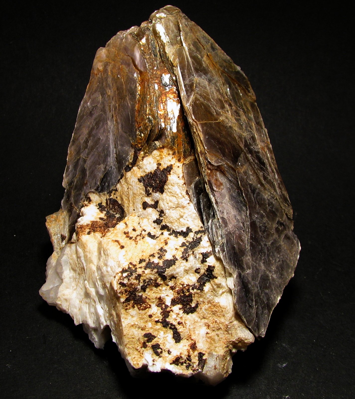 Moscovita
50 x 61 x 36 mm.
(Autor: José Luis Zamora)
