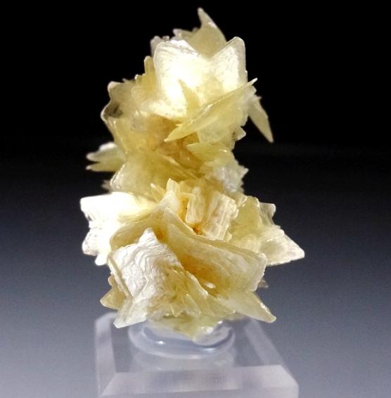 Moscovita
5,5 x 3,5 x 3 cm
(Autor: Antonio Alcaide)