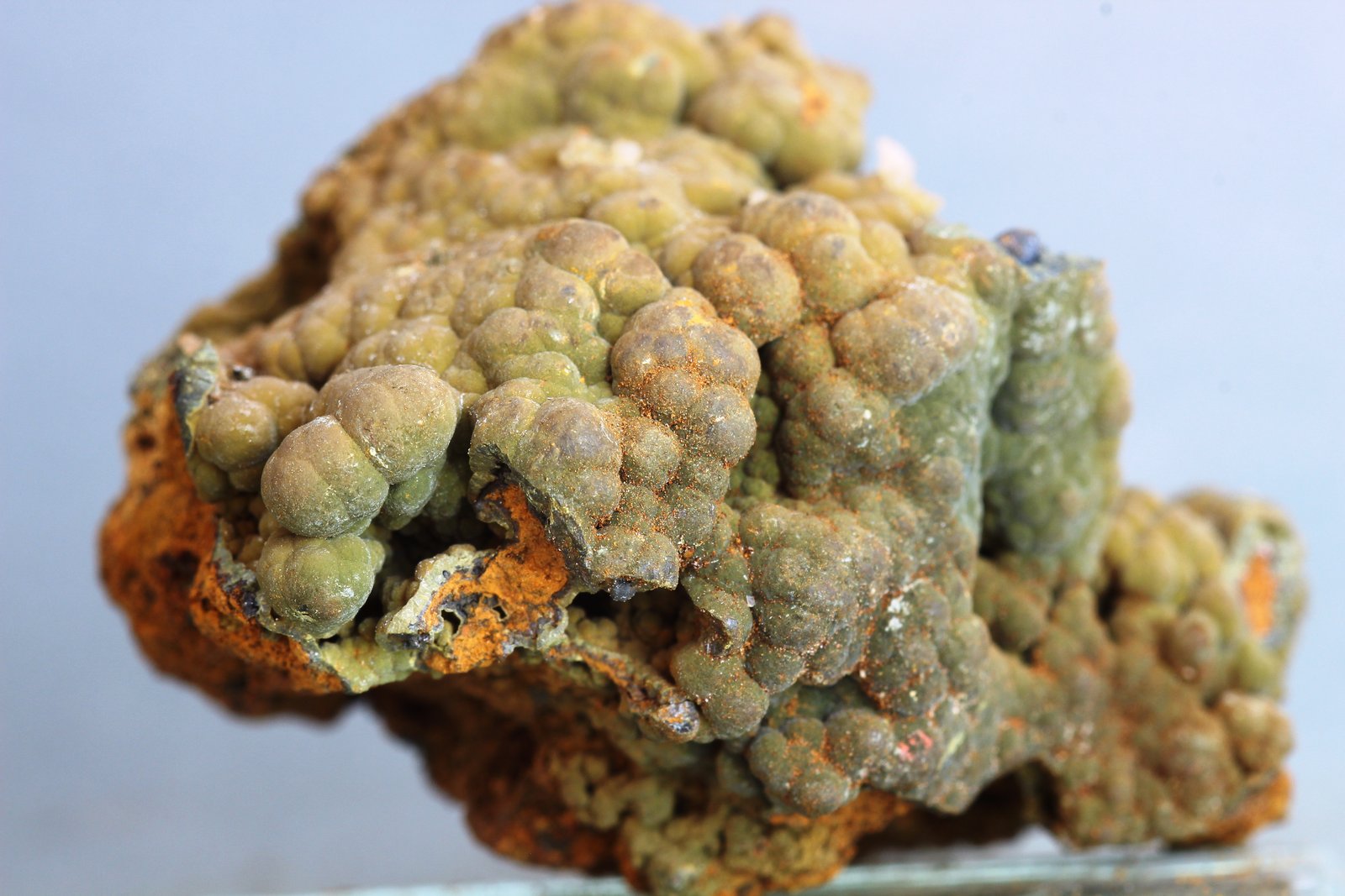 Mottramita
36x20 mm
(Autor: Juan Espino)