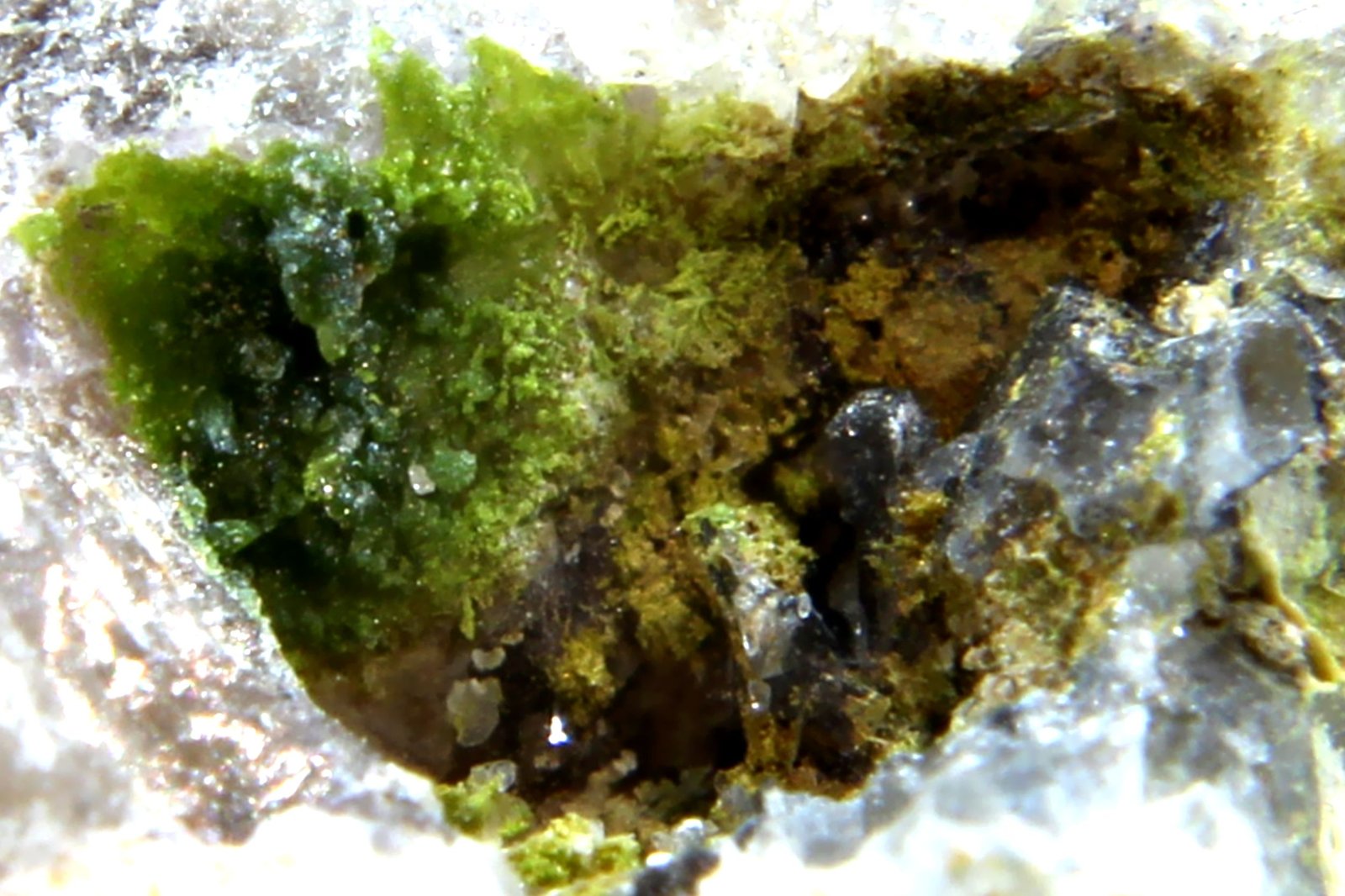 Mottramita
26 x 24 x 22 mm.
(Autor: José Luis Zamora)