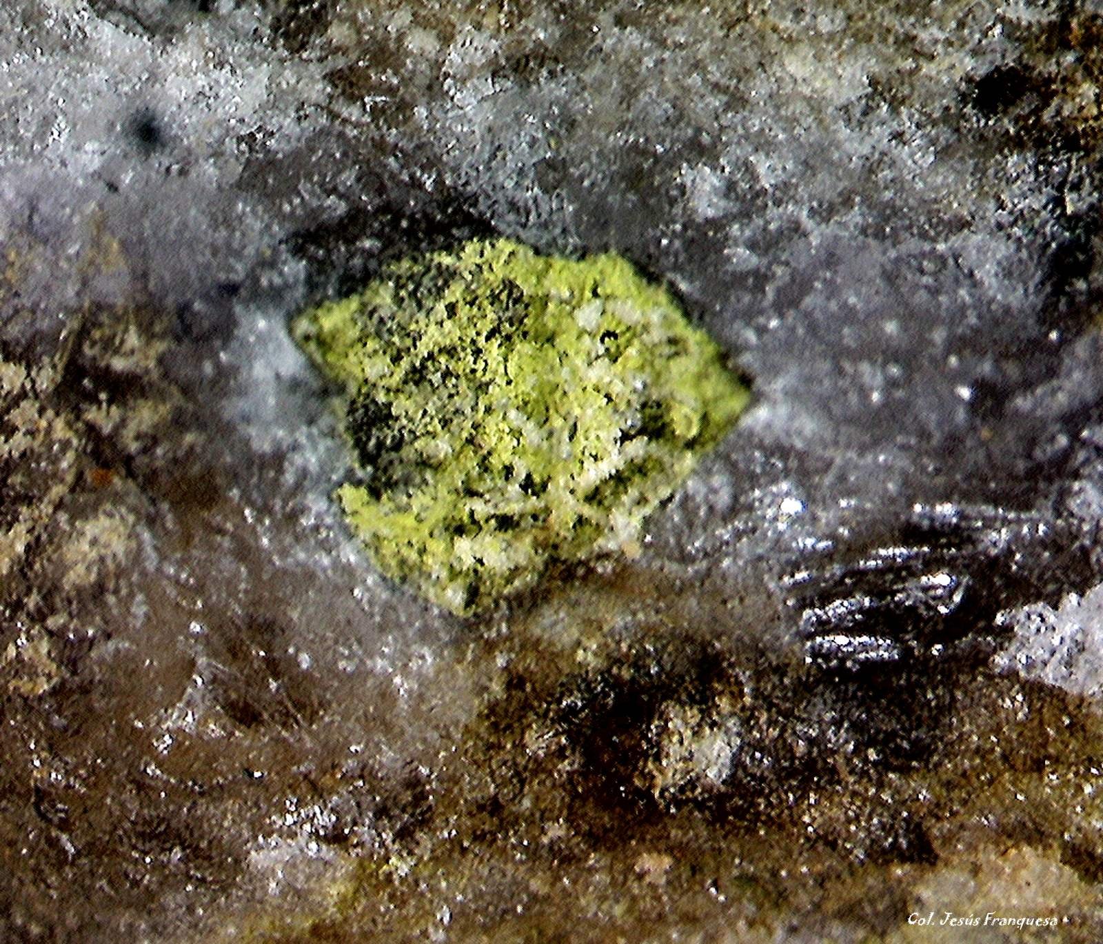 Mottramita.
1´040 x 1´011 mm.
(Autor: Jesus Franquesa Baucells)