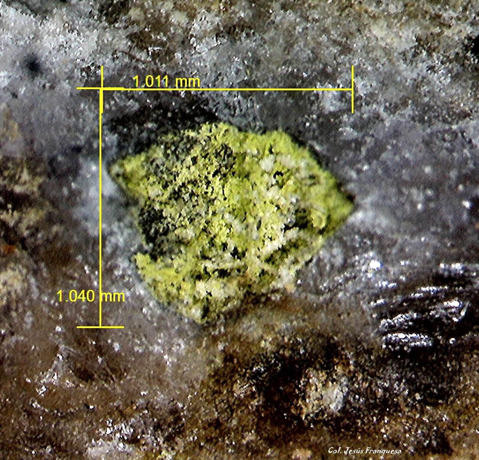 Mottramita.
1´040 x 1´011 mm.
(Autor: Jesus Franquesa Baucells)