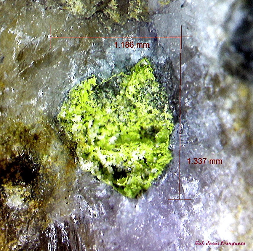 Mottramita.
1´337 x 1´186 mm.
(Autor: Jesus Franquesa Baucells)