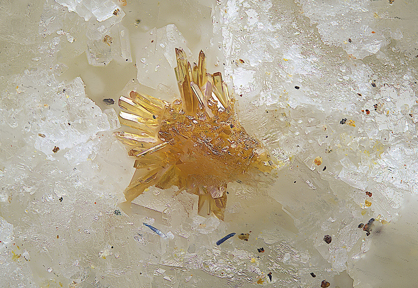 Wulfenita
Campo de visión de 1 mm.
(Autor: Antonio Carmona)