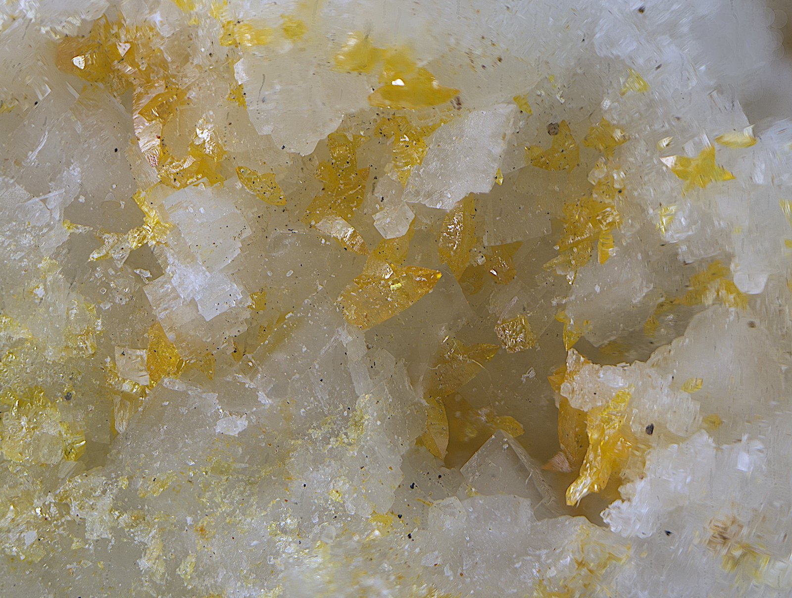 Wulfenita.
Campo de visión de 1 mm.
(Autor: Antonio Carmona)