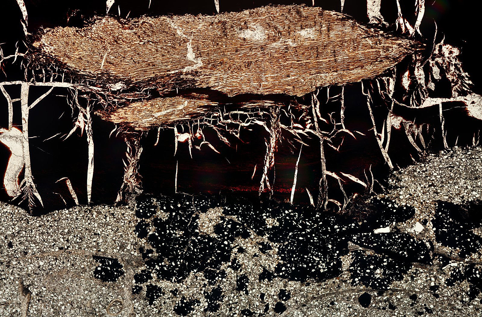 Campo visual 12.2 mm
(Autor: Vinoterapia)