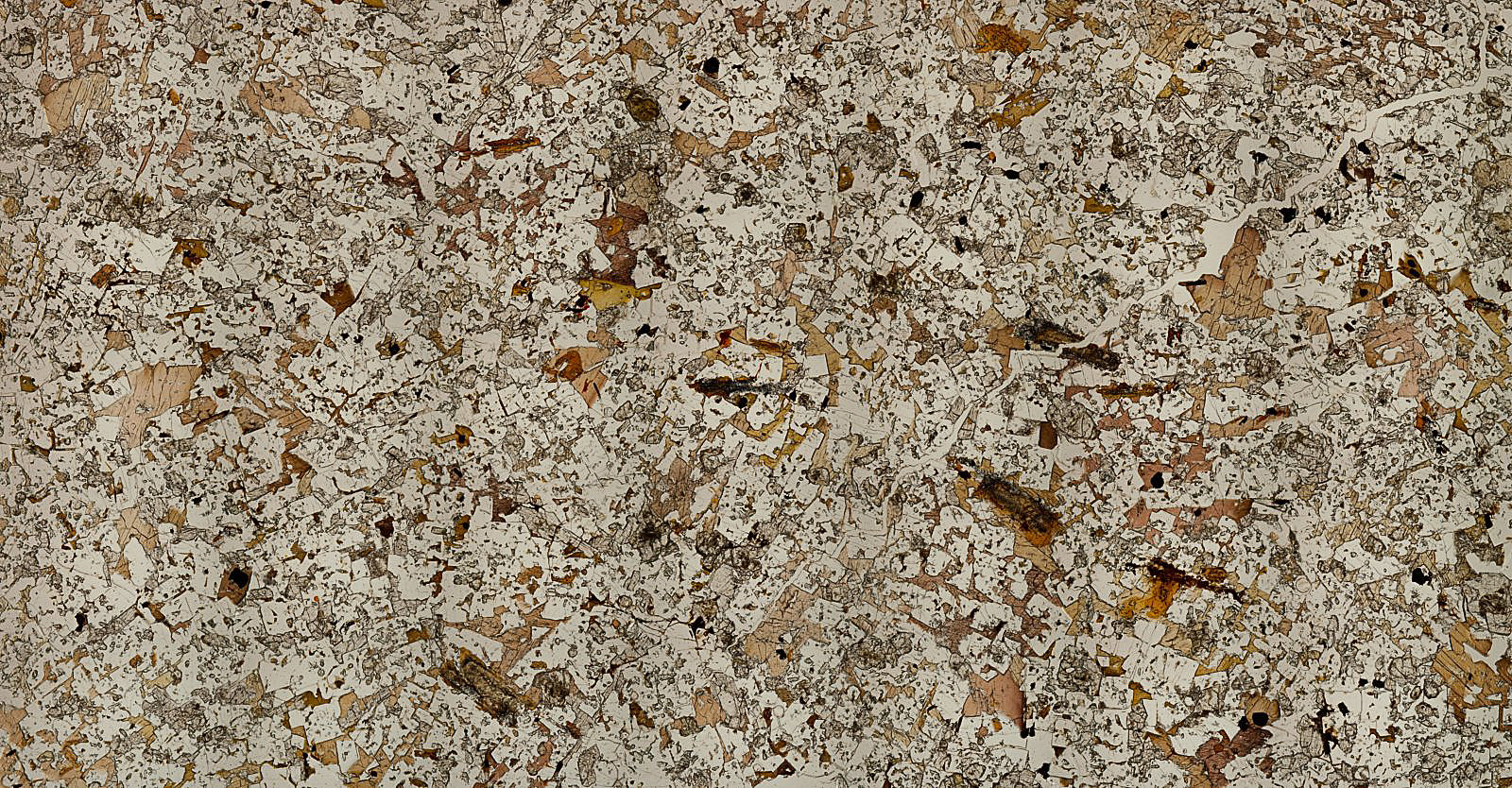 Campo de visión aproximado 14.4 mm
(Autor: Vinoterapia)