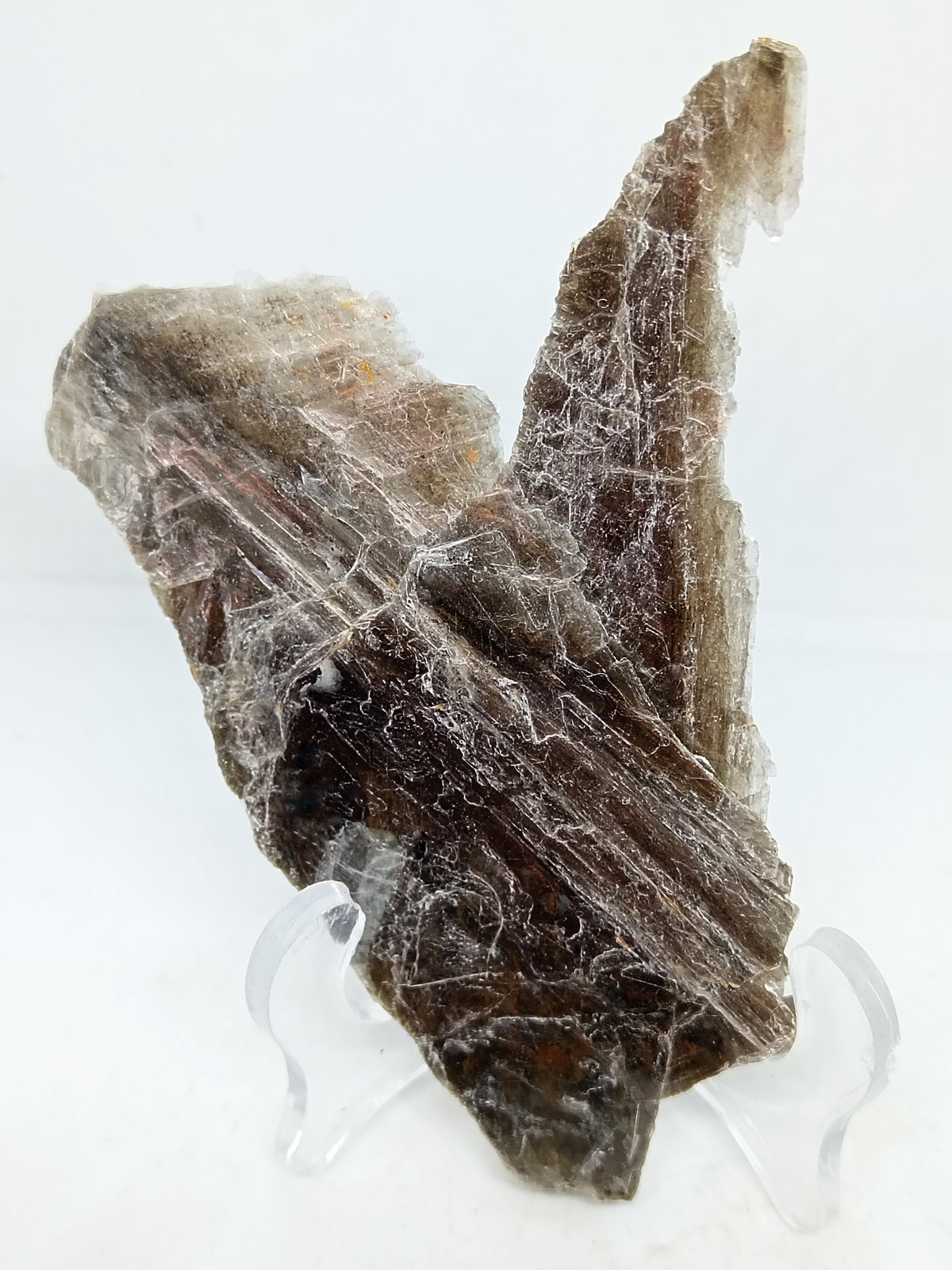 Muscovita
90x37x3 mm.
(Autor: Luis Edmundo Sánchez Roja)