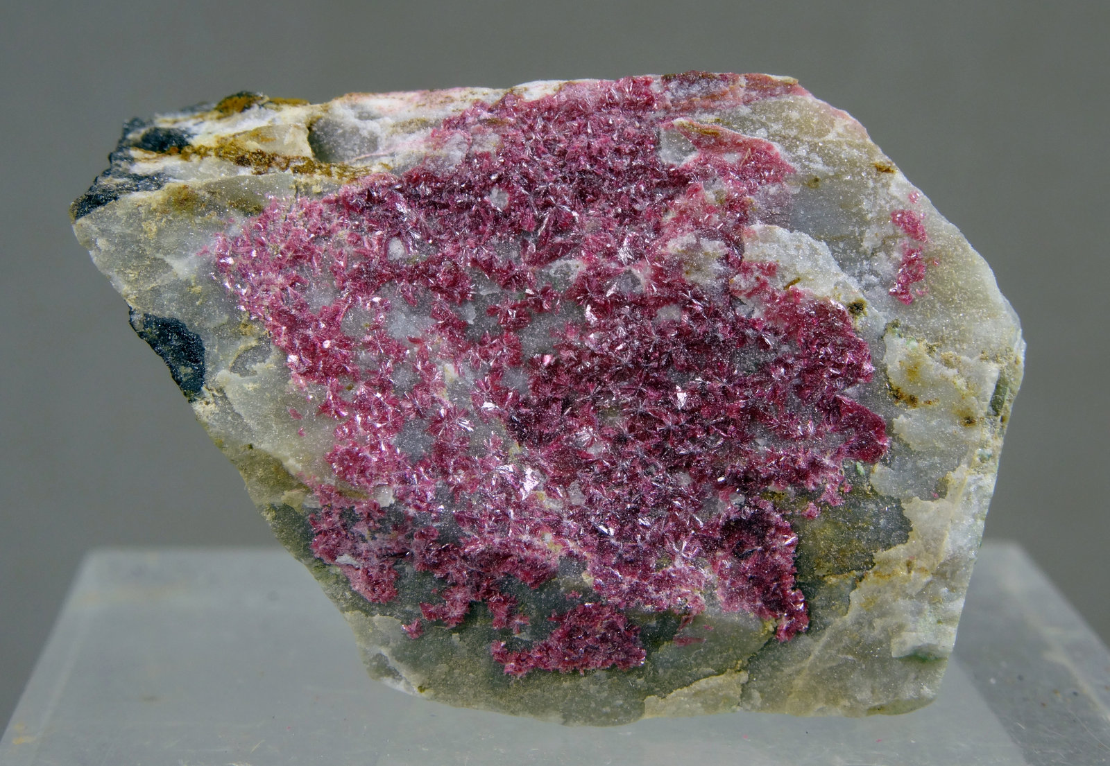 Eritrita (Eritrina)
Medida: 3,3 x 2,5 x 2,0 cms
(Autor: Joan Martinez Bruguera)