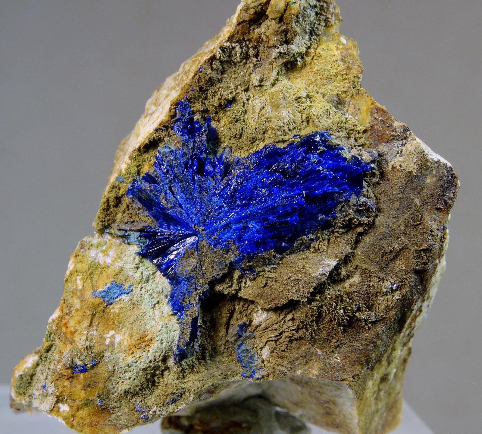 Azurita
Medida: 4,3 x 2,9 x 2,9 cms
(Autor: Joan Martinez Bruguera)