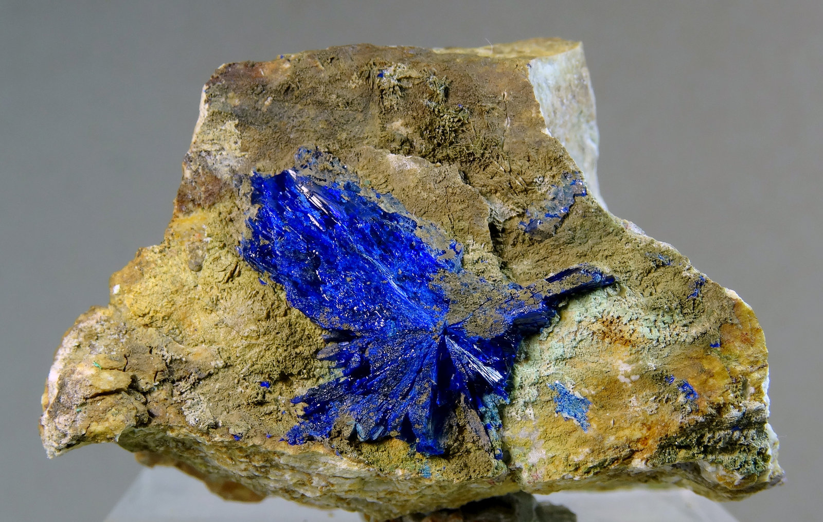 Azurita
Medida: 4,3 x 2,9 x 2,9 cms
(Autor: Joan Martinez Bruguera)