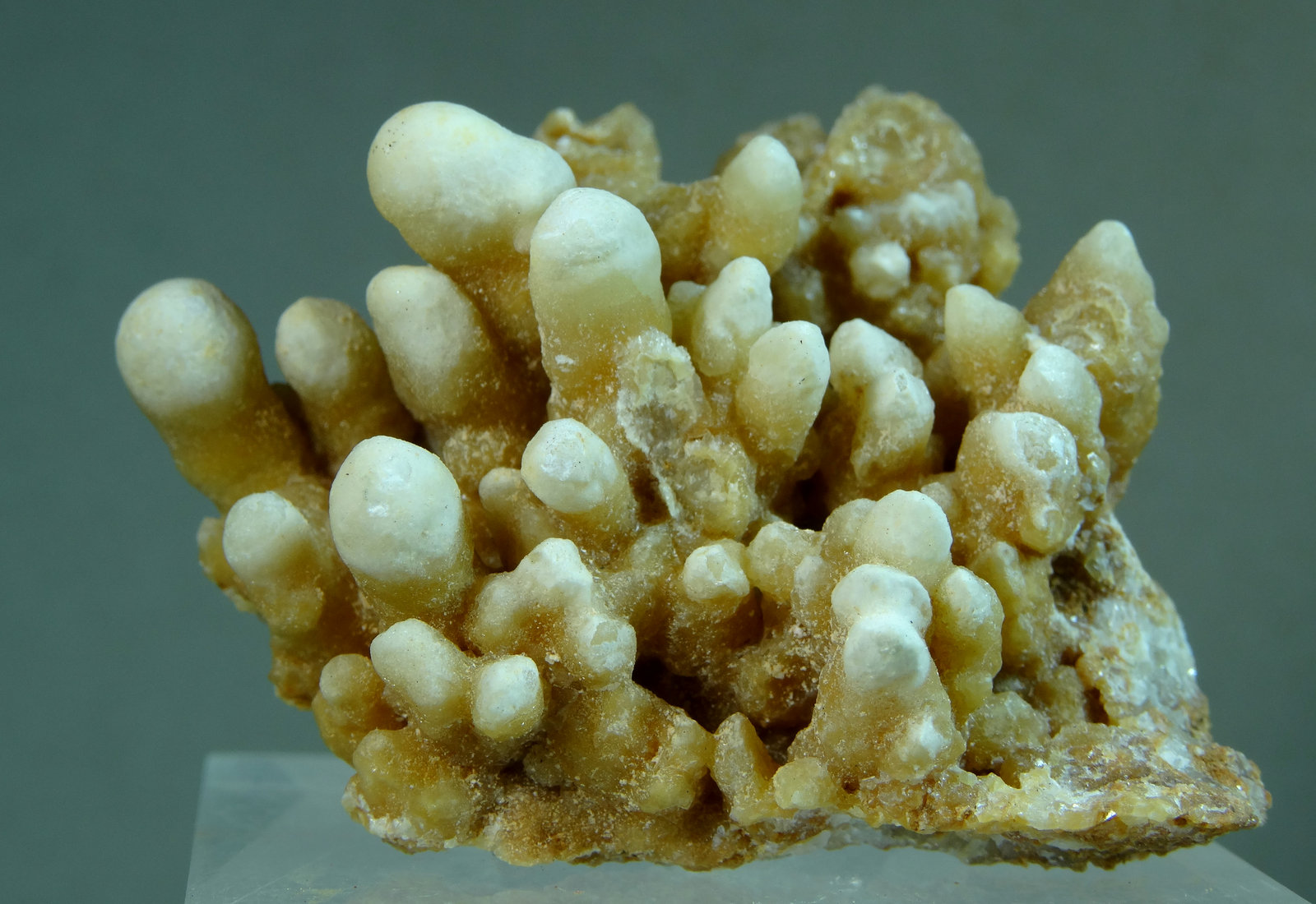 Aragonito
Medida: 4,1 x 3,9 x 2,4 cms
(Autor: Joan Martinez Bruguera)