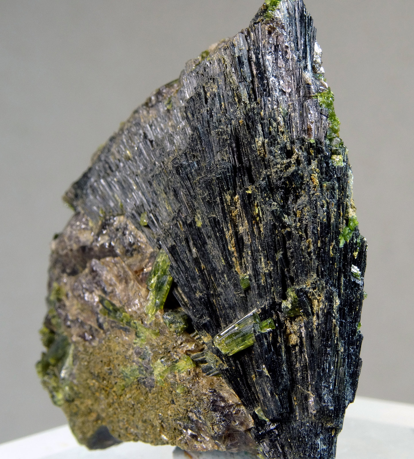 Schorlo-Dravita (Serie), Epidota y Axinita-(Fe)
Medida: 4,0 x 3,2 x 1,2 cms
(Autor: Joan Martinez Bruguera)