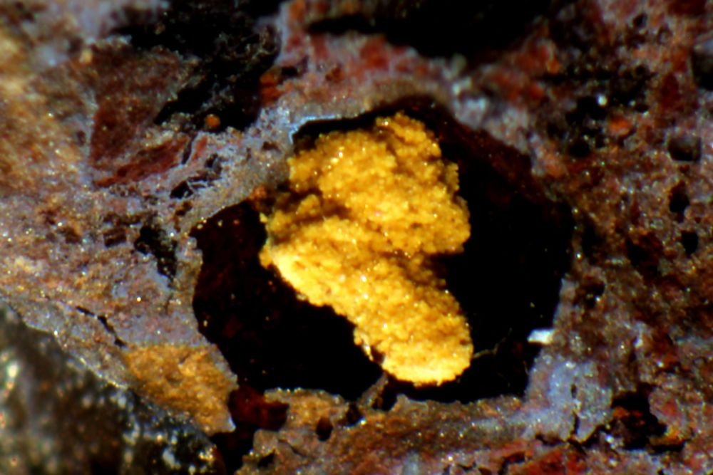 Natrojarosita
< 2 mm
(Autor: José Luis Zamora)