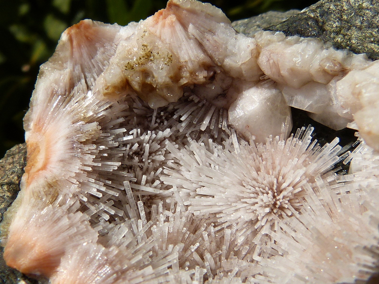 Natrolita
5,5 cm (diámetro mayor de la geoda)
(Autor: nerofis2)