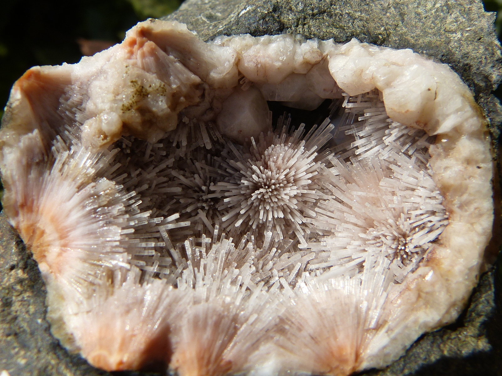 Natrolita
5,5 cm (diámetro mayor de la geoda)
(Autor: nerofis2)