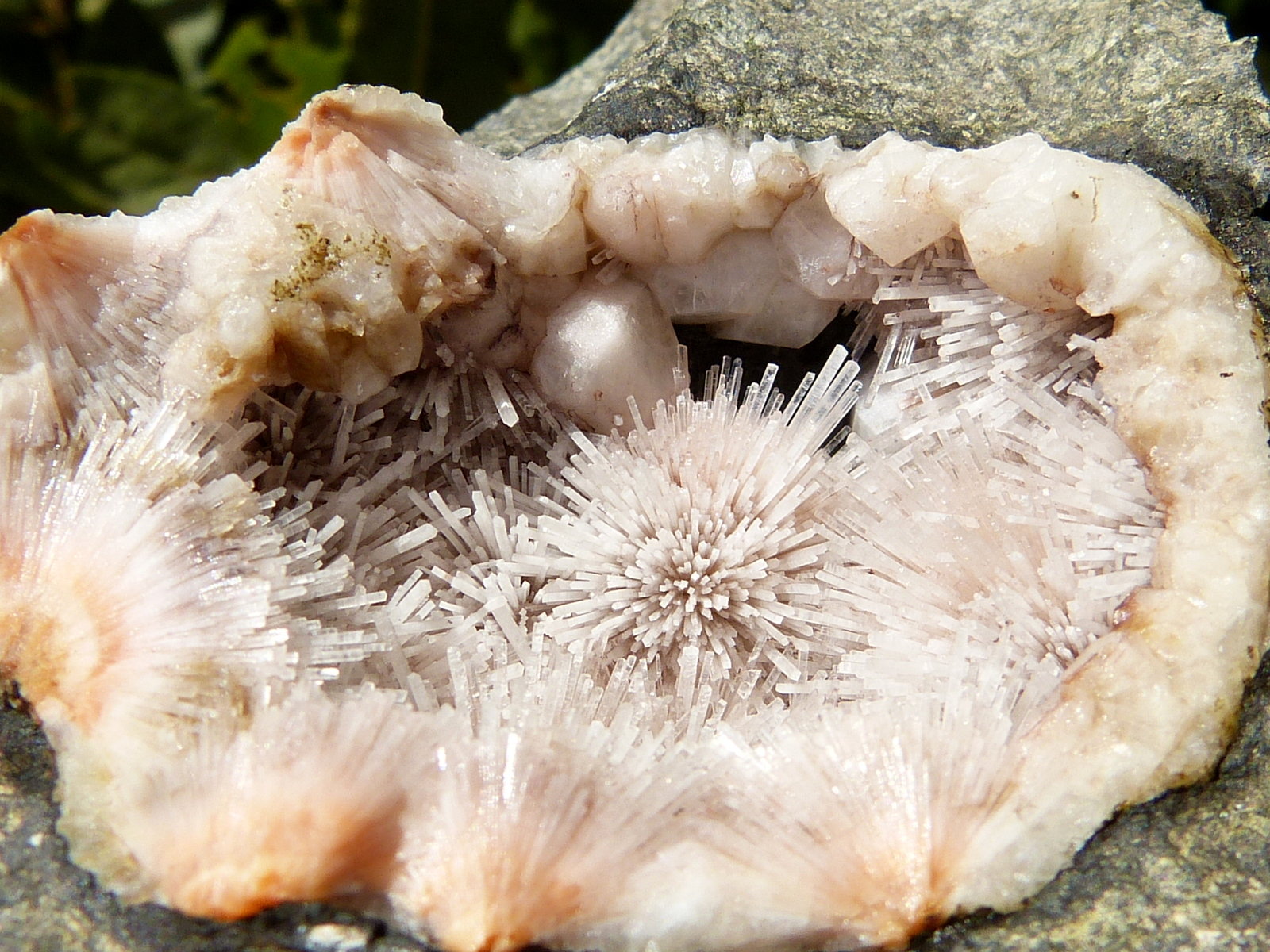 Natrolita
5,5 cm (diámetro mayor de la geoda)
(Autor: nerofis2)
